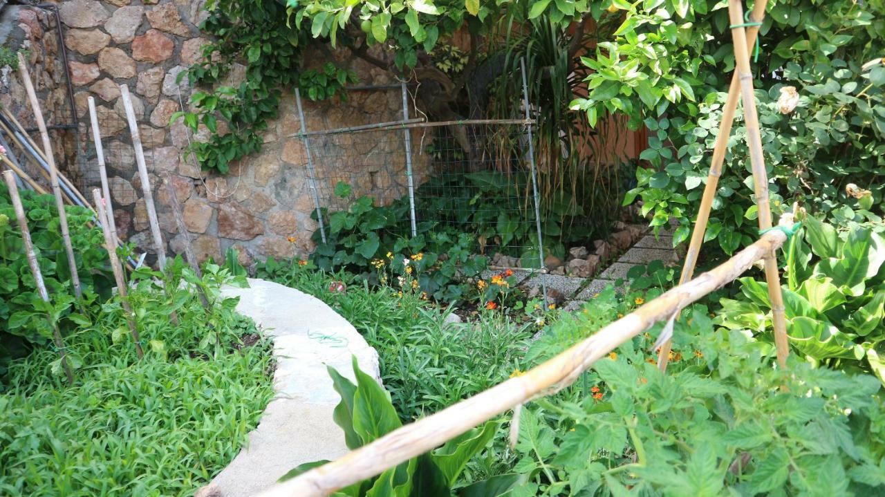Apartamento La casa di Elba e Mario Porto Santo Stefano  Exterior foto